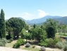 vue