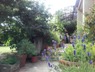 lilas